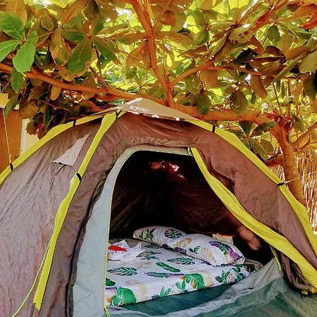 Akoya Beach Sunset Camp El Nido Room photo