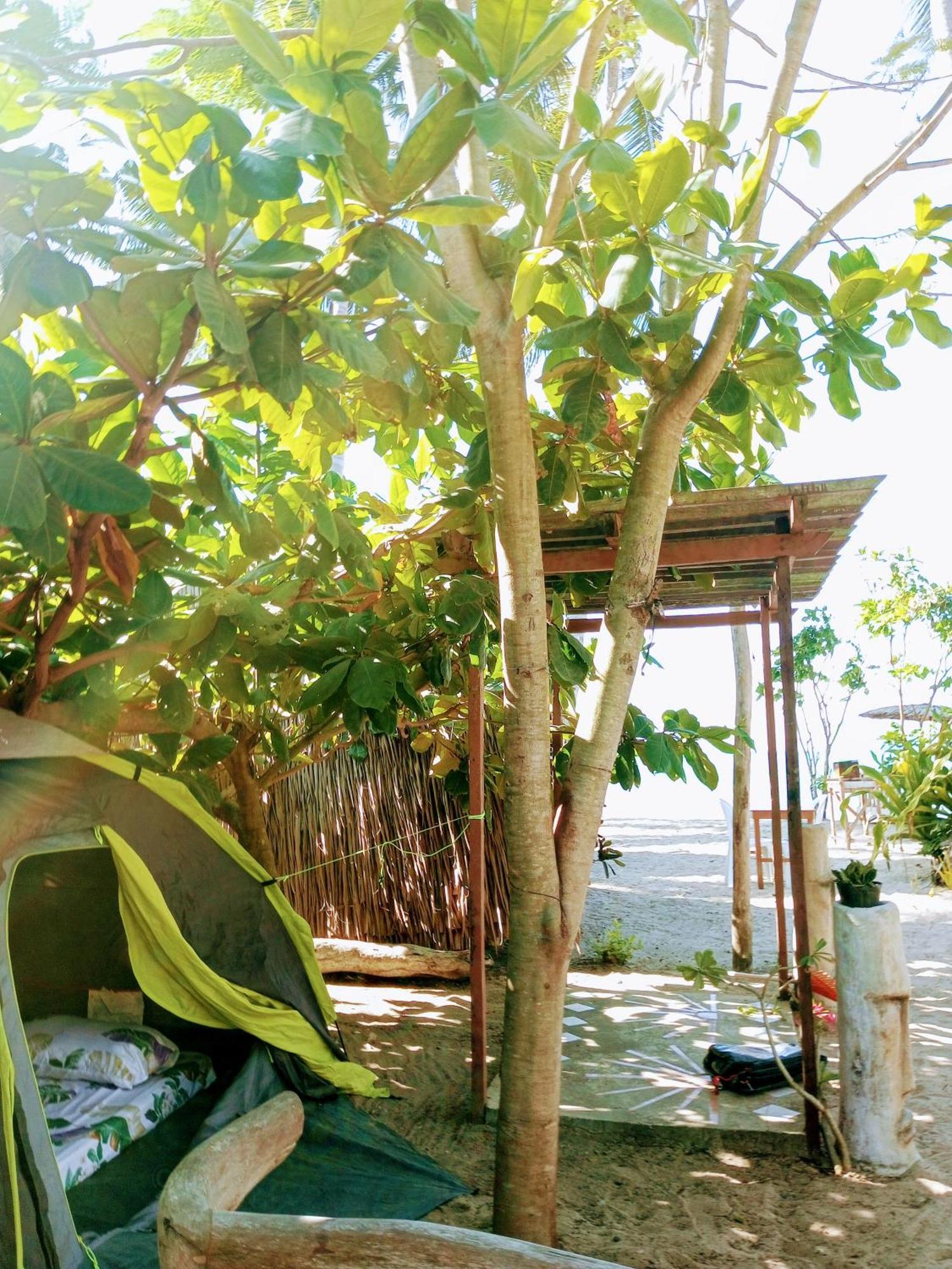 Akoya Sunset Camp